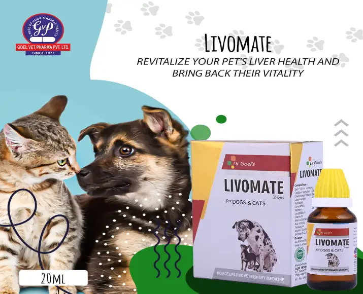 Dr Goel’s LIVOMATE Drops for Pets, 20 ML at ithinkpets.com (5)