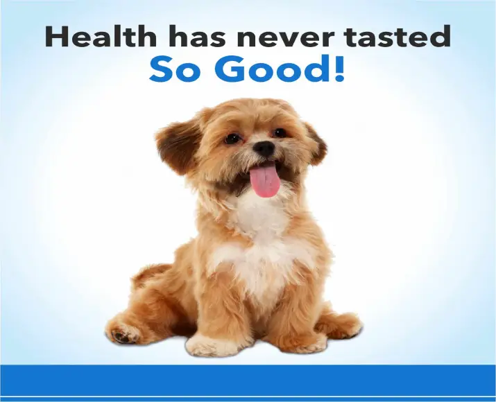 Purepet Chicken Flavor Munchy Sticks Dog Treats, 400 Gms at ithinkpets.com (3)