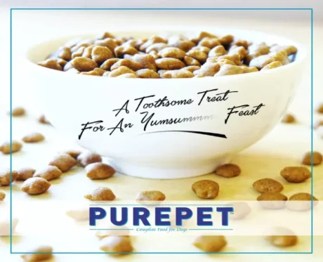 Purepet Ocean Fish Adult Cat Dry Food, 1 Kg at ithinkpets.com (2)