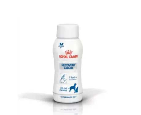 Royal Canin Recovery Liquid for Dogs & Cats, 200 ml at ithinkpets.com (1) (1)