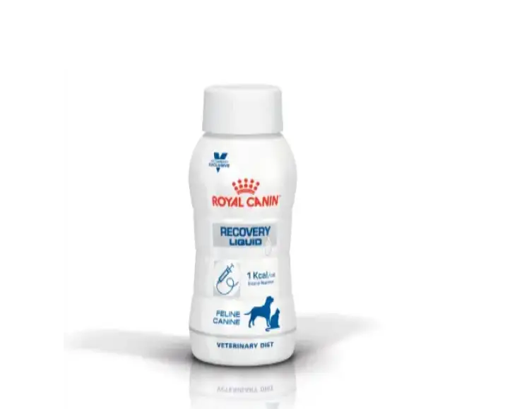 Royal Canin Recovery Liquid for Dogs & Cats, 200 ml at ithinkpets.com (1) (1)
