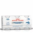 Royal Canin Recovery Liquid for Dogs & Cats, 200 ml