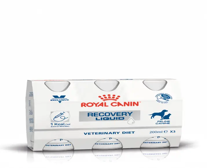Royal Canin Recovery Liquid for Dogs & Cats, 200 ml at ithinkpets.com (2)