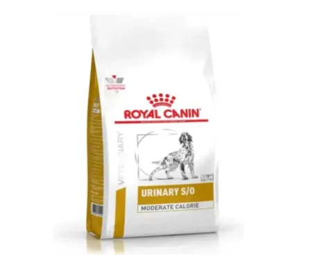 Royal Canin Urinary SO Moderate Calorie Adult Dog Dry Food, 1.5 kg at ithinkpets.com (1) (1)