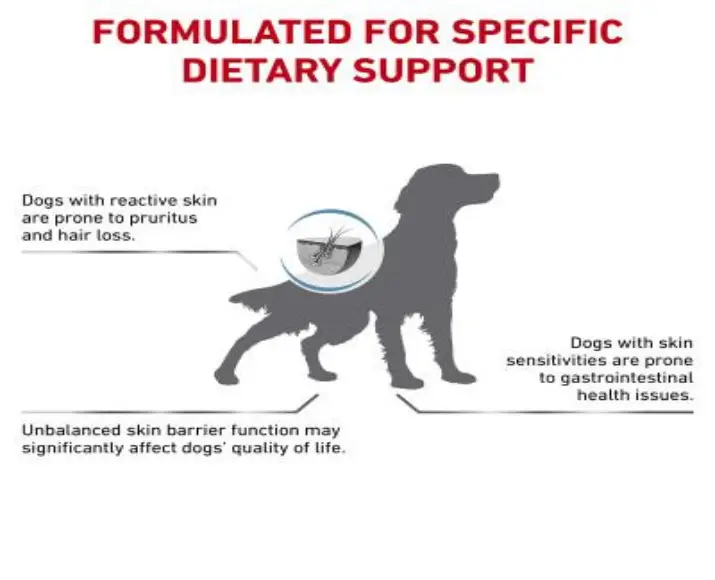 Royal Canin Veterinary Diet Canine Skintopic Dry Dog Food at ithinkpets.com (7)