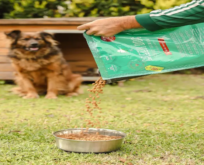The Green Dog Adult Small Bites Dog Food, Vegan Plant Based Dog Dry Food at ithinkpets.com (4)