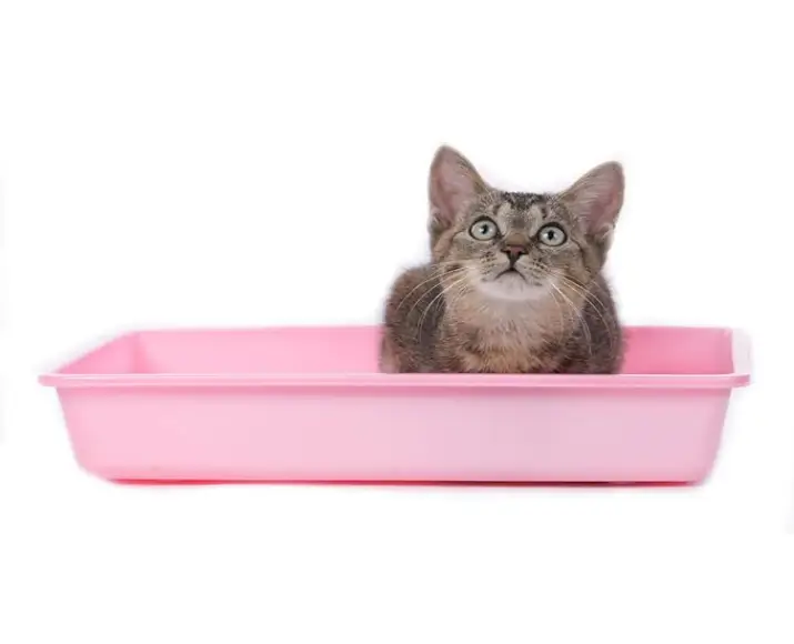Trixie Junior Kitten Litter Tray, Cat Litter Tray at ithinkpets.com (4)