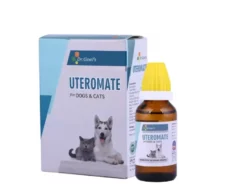DR. Goel's UTEROMATE Homeopathic Drops for Dogs & Cats, 30 ML at ithinkpets.com (1) (1)