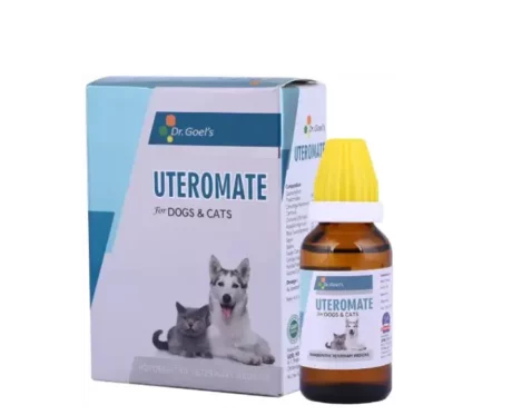 DR. Goel's UTEROMATE Homeopathic Drops for Dogs & Cats, 30 ML at ithinkpets.com (1) (1)