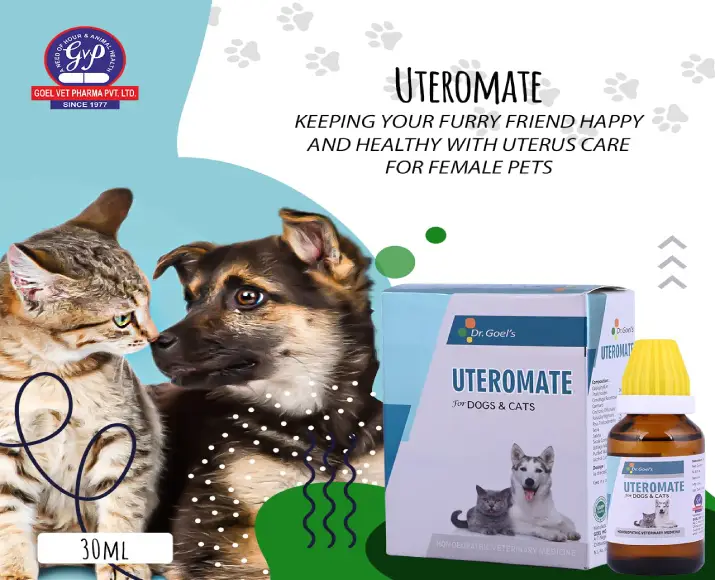 DR. Goel’s UTEROMATE Homeopathic Drops for Dogs & Cats, 30 ML at ithinkpets.com (5)
