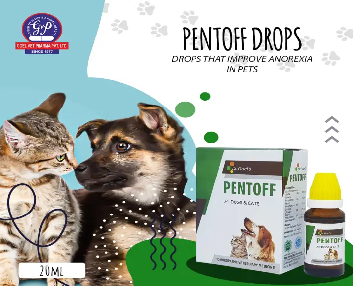 Dr Goel’s PENTOFF Homeopathic Medicines for Dogs & Cats, 20ml at ithinkpets.com (5)
