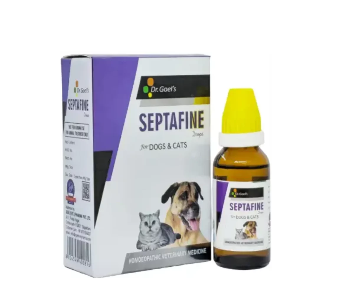 Homeopathic remedies 2024 for dogs