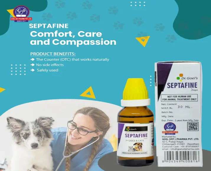 Dr Goel’s SEPTAFINE Homeopathic Medicine for Dogs & Cats, 30 ML at ithinkpets.com (2)