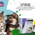 Dr Goel’s SEPTAFINE Homeopathic Medicine for Dogs & Cats, 30 ML