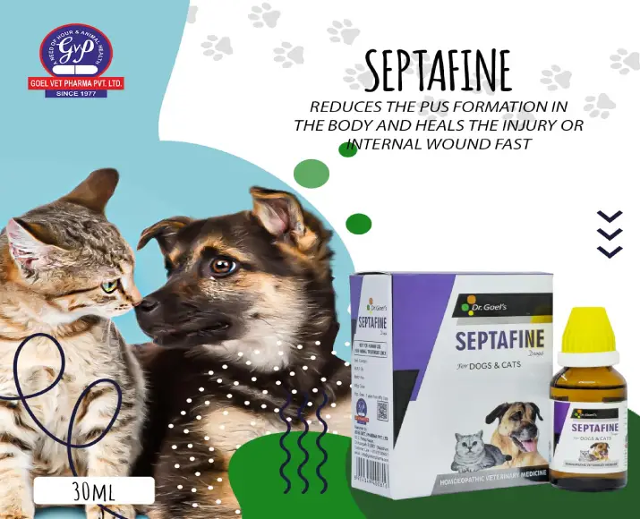Dr Goel’s SEPTAFINE Homeopathic Medicine for Dogs & Cats, 30 ML at ithinkpets.com (5)