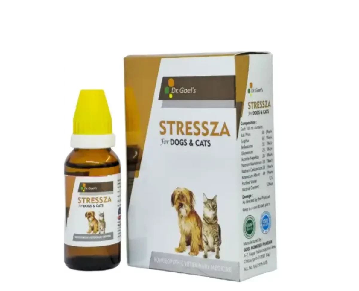 Homeopathic antibiotic for dogs hotsell