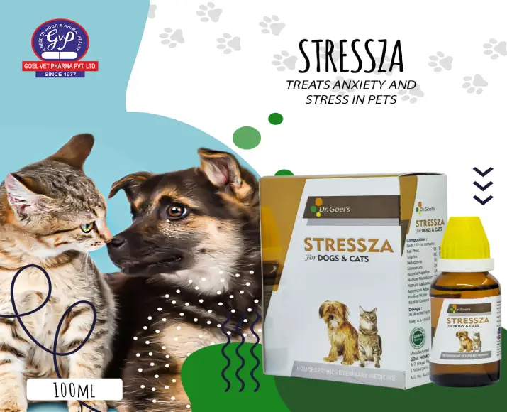 Dr Goel’s STRESSZA Homeopathic Medicine for Dogs & Cats, 30 ML at ithinkpets.com (5)