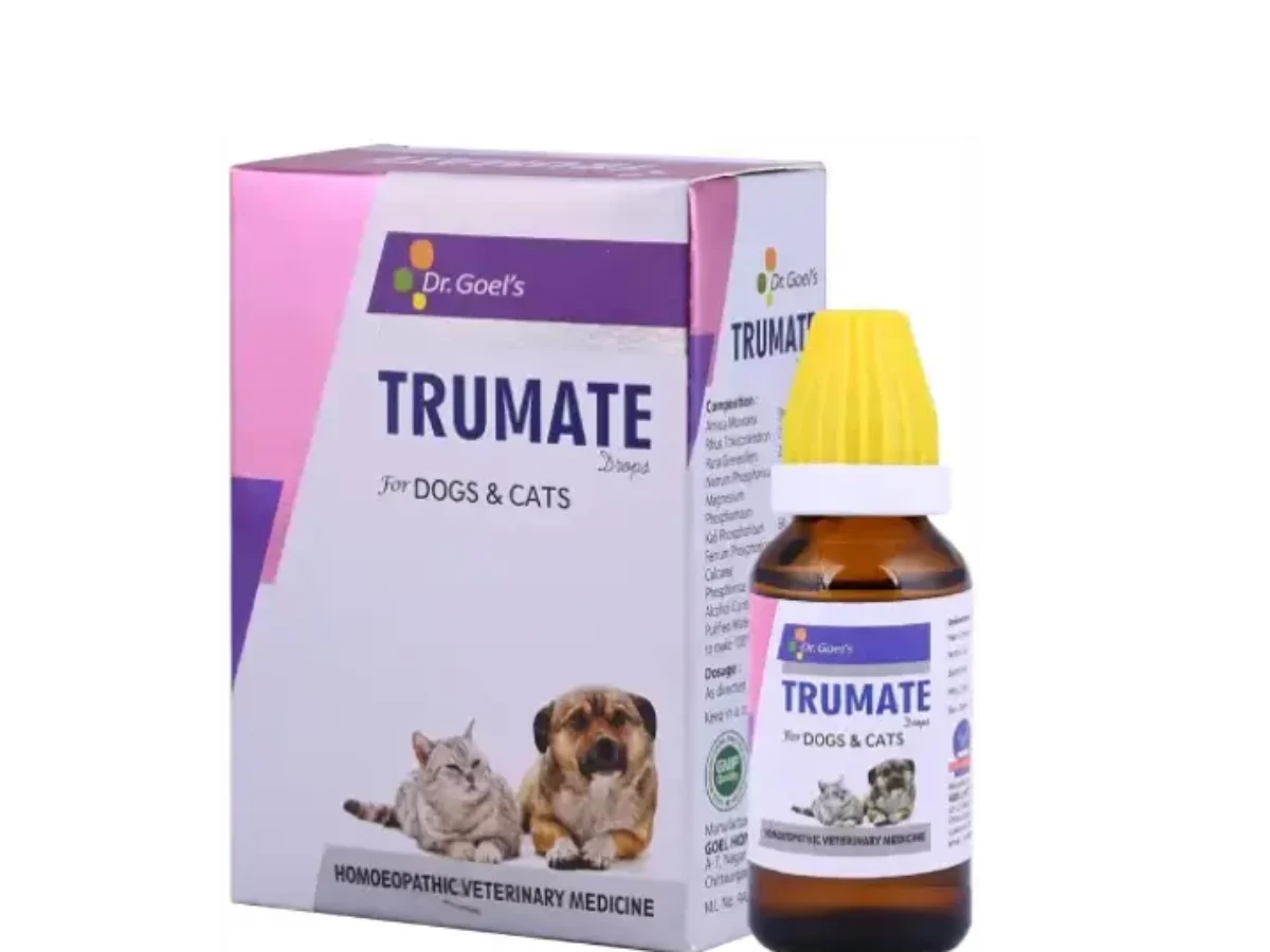 Homeopathic remedy for vestibular disease in cats best sale