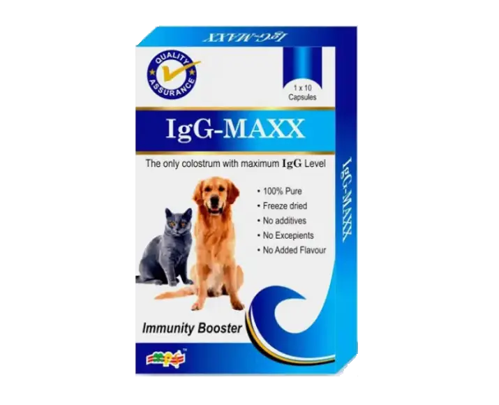 MPS IgG-Maxx for Dogs & Cats, 20 capsules at ithinkpets.com (1) (2)