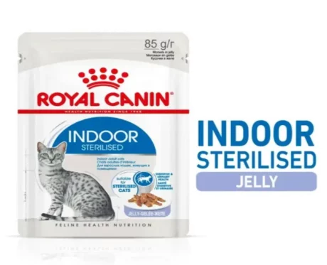 oyal Canin Indoor Sterilised Cat Jelly wet Food,12 x 85 Gms at ithinkpets.com (2)