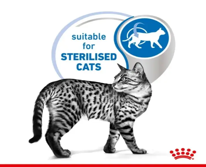 Royal Canin Indoor Sterilised Cat Jelly wet Food,12 x 85 Gms at ithinkpets.com (4)