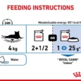 Royal Canin Indoor Sterilised Cat Jelly wet Food,12 x 85 Gms