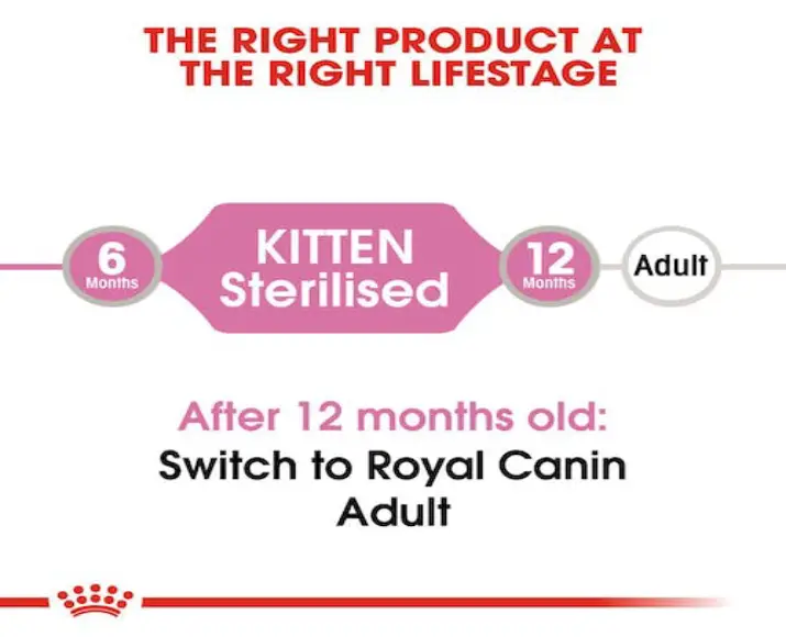 Royal Canin Kitten Sterilised Wet Food, 12 X 85 Gms at ithinkpets.com (3) (1)