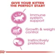Royal Canin Kitten Sterilised Wet Food, 12 X 85 Gms