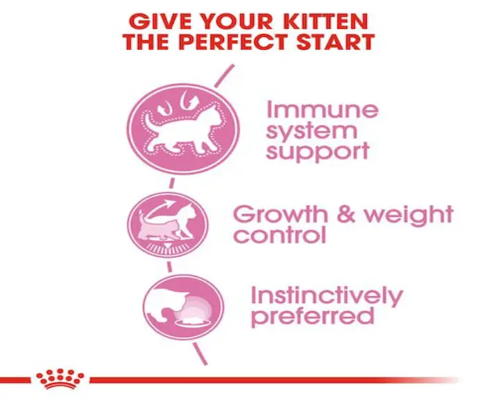 Royal Canin Kitten Sterilised Wet Food, 12 X 85 Gms at ithinkpets.com (4) (1)