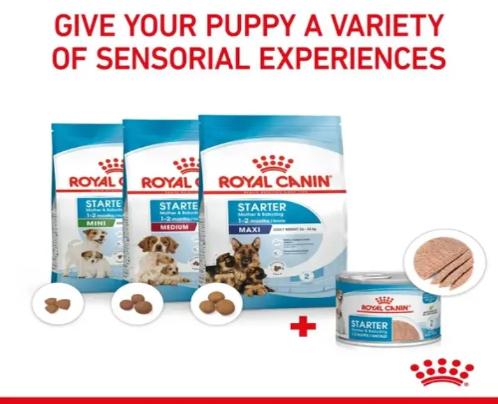 Royal Canin Starter Ultra Soft Mousse,Mother & Baby Dog, 195 Gms at ithinkpets.com (4)