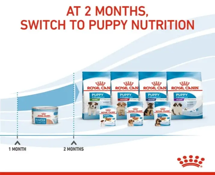 Royal Canin Starter Ultra Soft Mousse,Mother & Baby Dog, 195 Gms at ithinkpets.com (6)