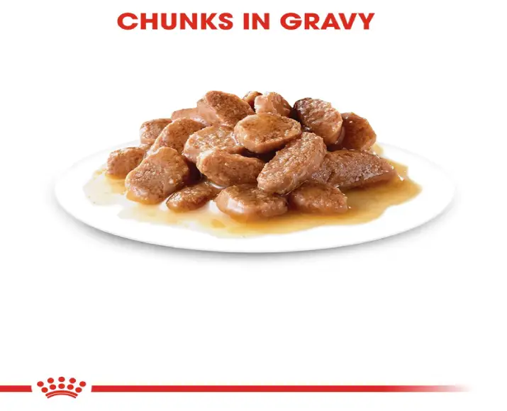 Royal Canin Urinary Care Gravy Wet Cat Food, 12 X 85 Gms at ithinkpets.com (4)