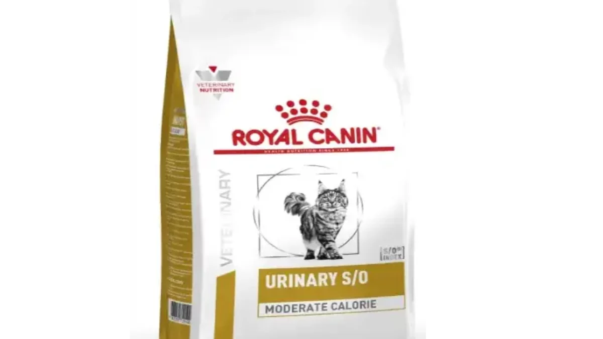 Chewy royal canin urinary so best sale