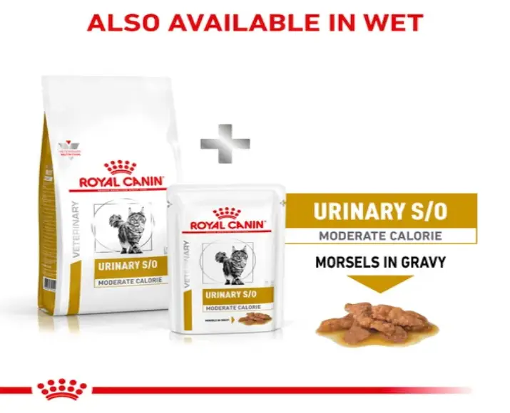 Royal Canin Veterinary Urinary SO Moderate Calorie Cat Dry Food,1.5 Kgs at ithinkpets.com (6)