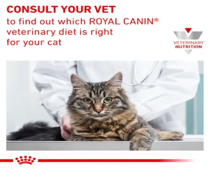 Royal Canin Veterinary Urinary SO Moderate Calorie Cat Dry Food,1.5 Kgs at ithinkpets.com (9)