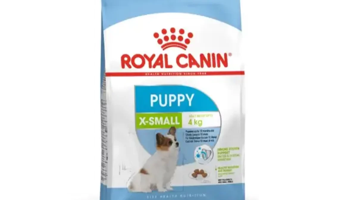 Buy Royal Canin X Small Puppy Dog Dry Food Tiny Bites Big