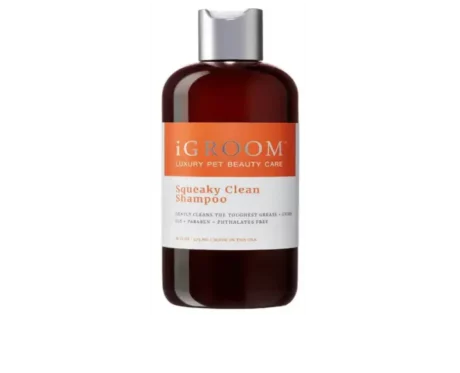 iGroom Squeaky Clean Pet Shampoo, 473 ML at ithinkpets.com (1) (2) (1)