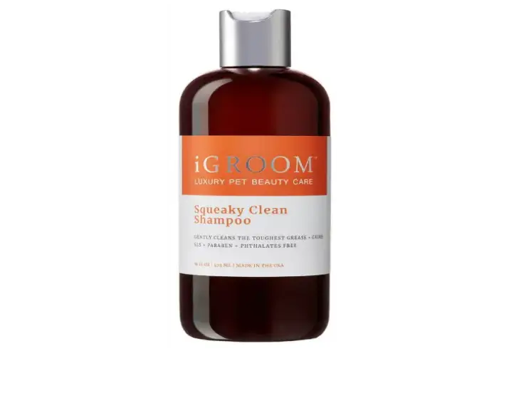 iGroom Squeaky Clean Pet Shampoo, 473 ML at ithinkpets.com (1) (2) (1)
