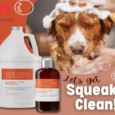iGroom Squeaky Clean Pet Shampoo, 473 ML