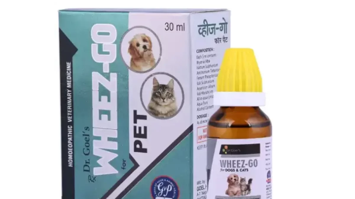 Dog Homeopathic Medicine I Think Pets