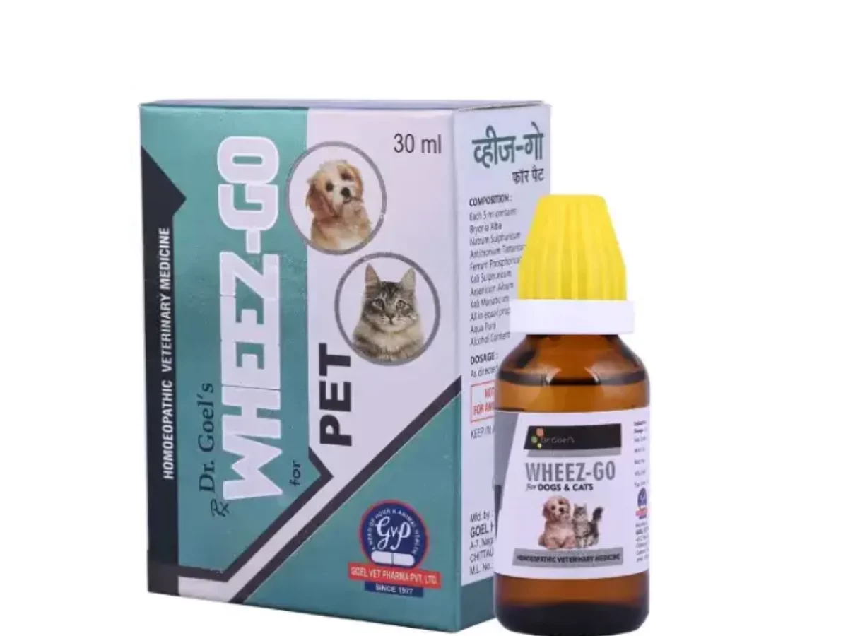 Dog Homeopathic Medicine I Think Pets