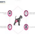 Affinity Advance Urinary Dog Dry Food, Veterinary Dog Food