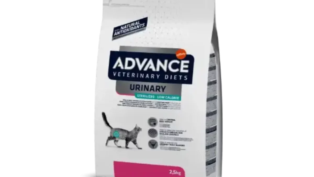 Advance veterinary diets urinary feline best sale