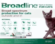 Broadline Spot On for Cats, Large (2.5 Kg- 7.5 Kg), 3 Pippettes at ithinkpets.com (2)