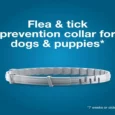 Elanco Seresto Collar For Small Dogs for Flea & Tick Treatment & Prevention, Below 8 Kgs