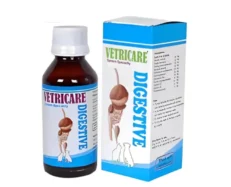 Vetricare Digestive Syrup for Dogs and Cats, 100ML at ithinkpets.com (1) (1)