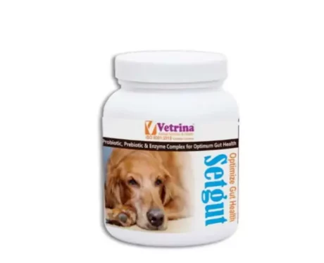 Vetrina Setgut Powder for Dogs and Cats, 50g at ithinkpets.com (1) (1)