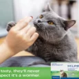 Virbac Milpro for Cats, Broad Spectrum Dewormer For Cats