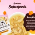 Kennel Kitchen Chicken Chunks in gravy with Superfood Pumpkin, For Cats