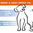 Wahl Doggie Deodrant Eucalyptus & Spearmint, 236ML